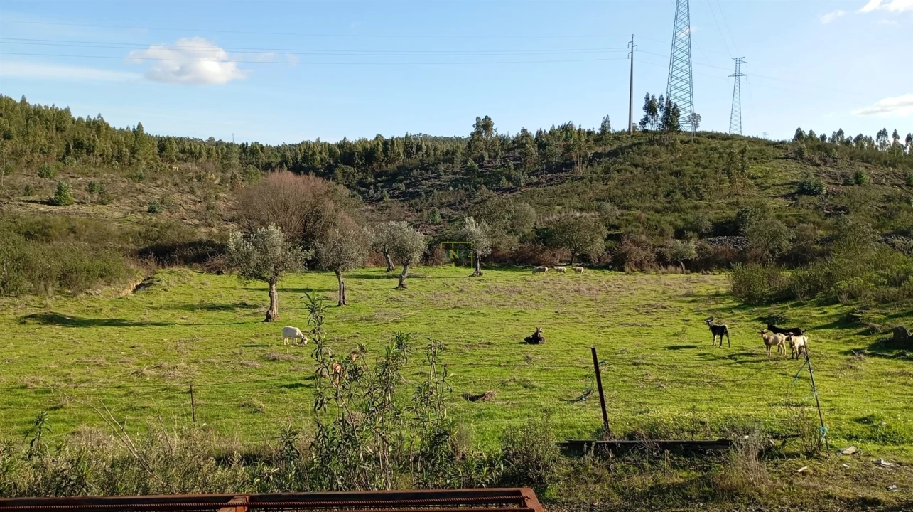 Quinta T0 para Venda em Fratel Foto 18