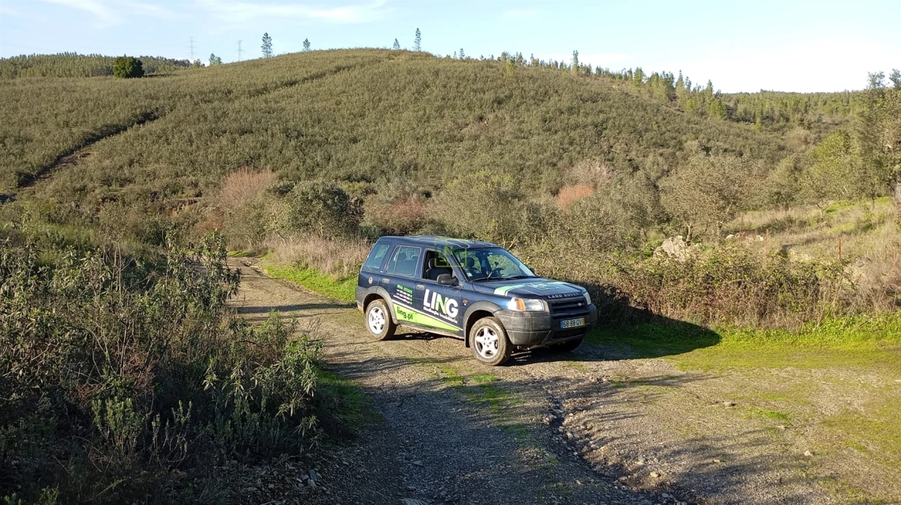 Quinta T0 para Venda em Fratel Foto 11