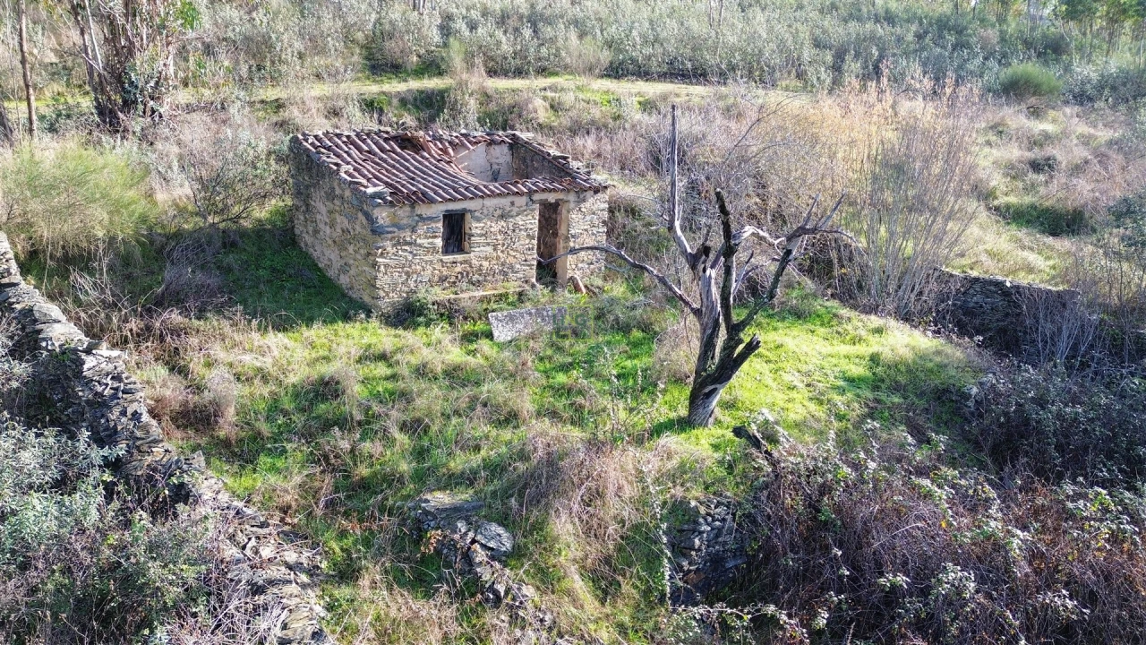 Quinta T0 para Venda em Fratel Foto 1