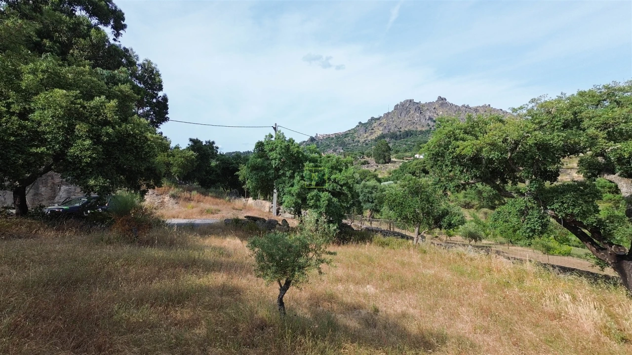 Terreno Agricola ou Rústico para Venda em Monsanto e Idanha-A-Velha Foto 22