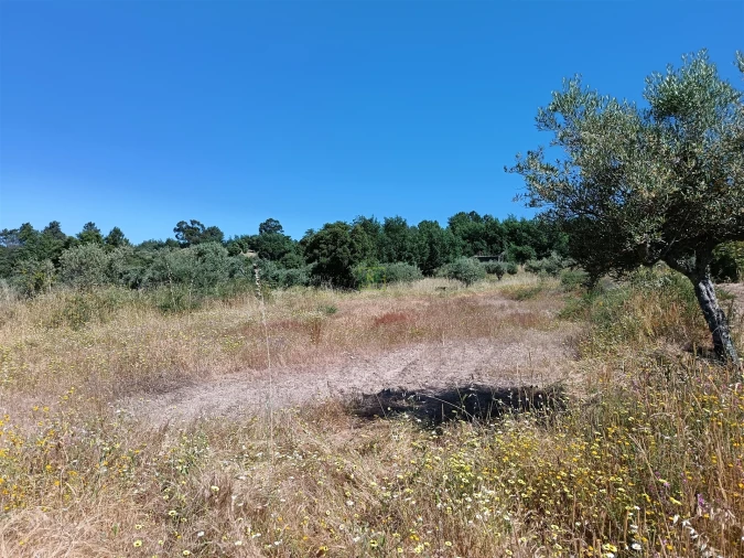 Terreno Agricola ou Rústico para Venda em Monsanto e Idanha-A-Velha Foto 17