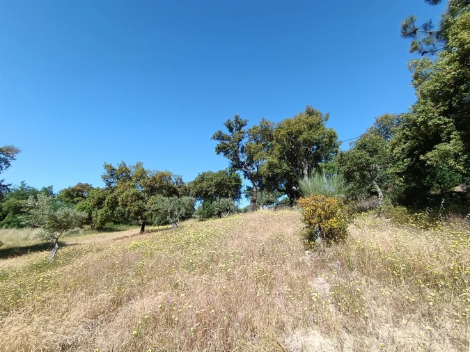 Terreno Agricola ou Rústico para Venda em Monsanto e Idanha-A-Velha Foto 5