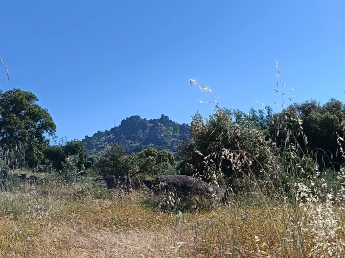 Terreno Agricola ou Rústico para Venda em Monsanto e Idanha-A-Velha Foto 14