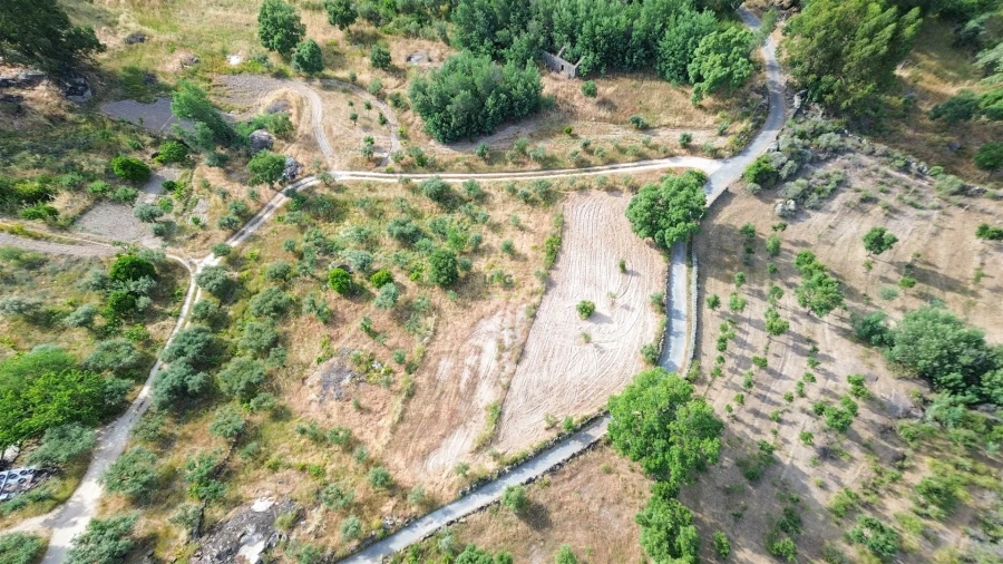 Terreno Agricola ou Rústico para Venda em Monsanto e Idanha-A-Velha Foto 25