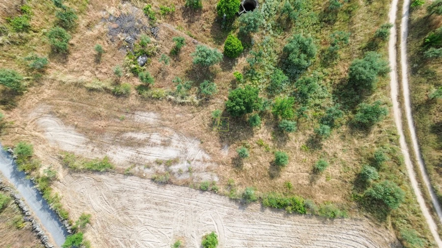 Terreno Agricola ou Rústico para Venda em Monsanto e Idanha-A-Velha Foto 27