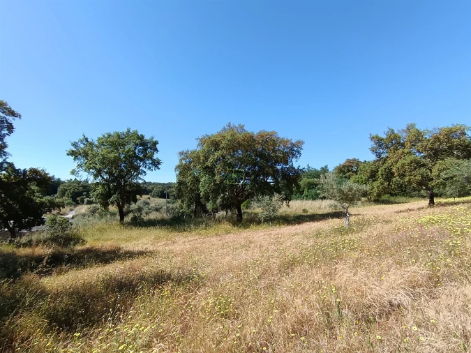 Terreno Agricola ou Rústico para Venda em Monsanto e Idanha-A-Velha Foto 6