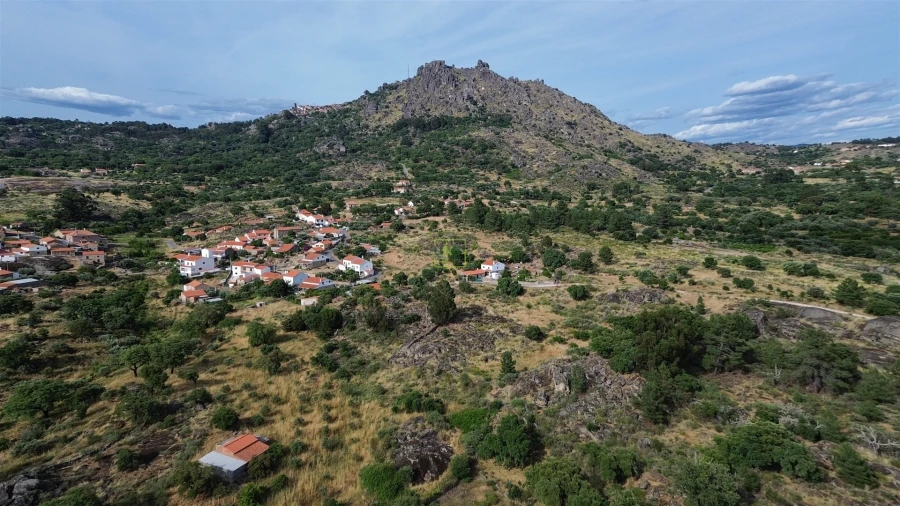 Terreno Agricola ou Rústico para Venda em Monsanto e Idanha-A-Velha Foto 32