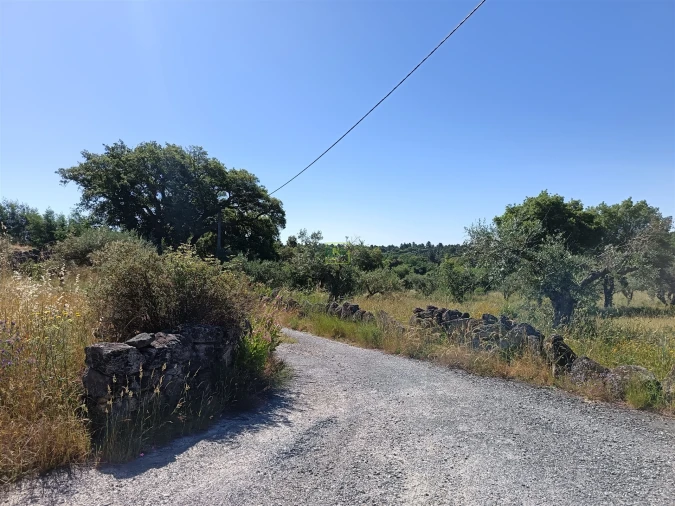 Terreno Agricola ou Rústico para Venda em Monsanto e Idanha-A-Velha Foto 16