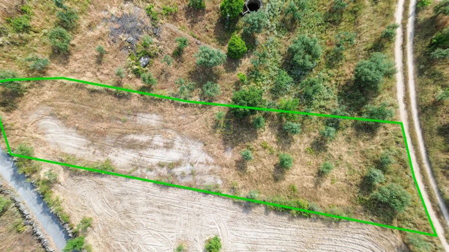 Terreno Agricola ou Rústico para Venda em Monsanto e Idanha-A-Velha Foto 28