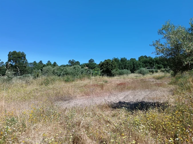Terreno Agricola ou Rústico para Venda em Monsanto e Idanha-A-Velha Foto 18