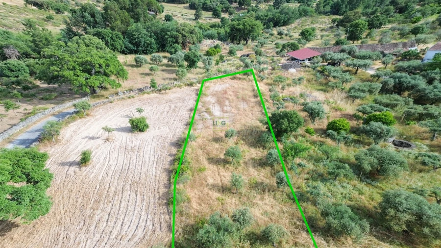 Terreno Agricola ou Rústico para Venda em Monsanto e Idanha-A-Velha Foto 30