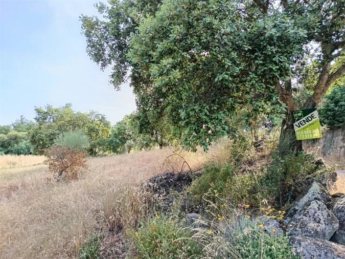 Terreno Agricola ou Rústico para Venda em Monsanto e Idanha-A-Velha Foto 33
