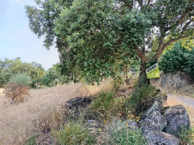 Terreno Agricola ou Rústico para Venda em Monsanto e Idanha-A-Velha Foto 34