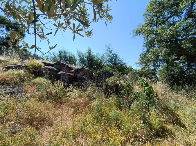 Terreno Agricola ou Rústico para Venda em Monsanto e Idanha-A-Velha Foto 12