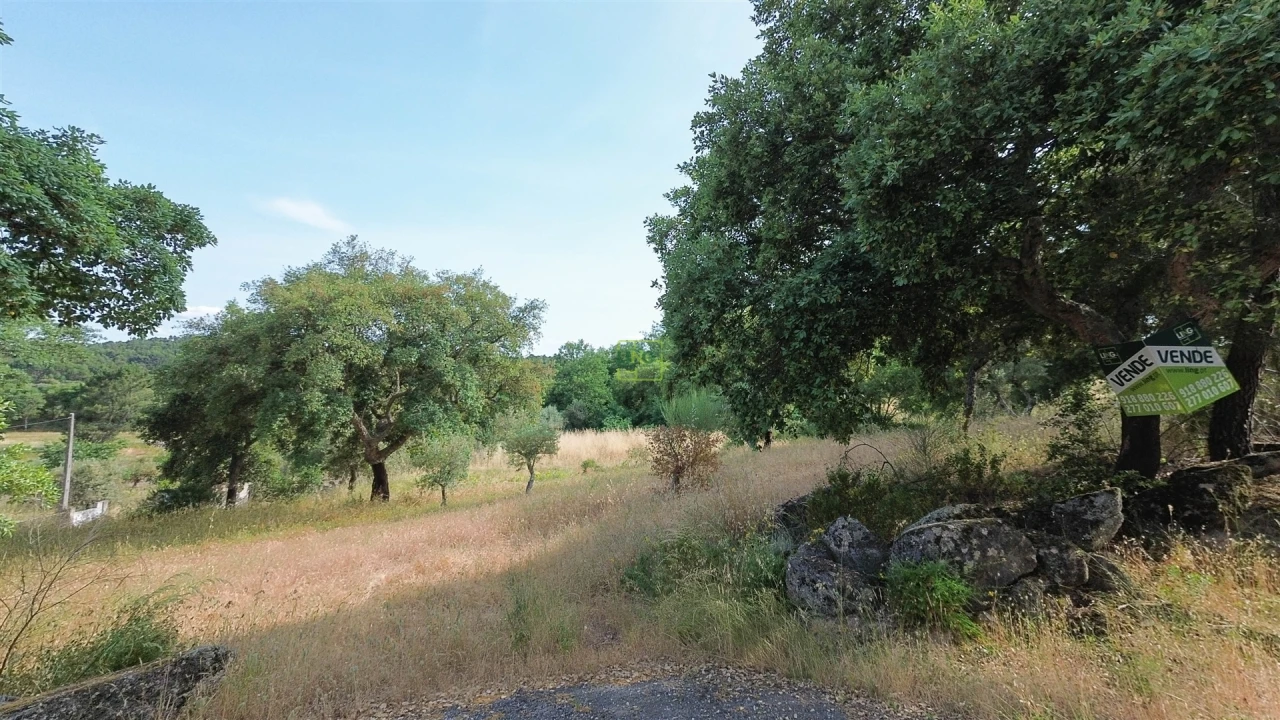 Terreno Agricola ou Rústico para Venda em Monsanto e Idanha-A-Velha Foto 21