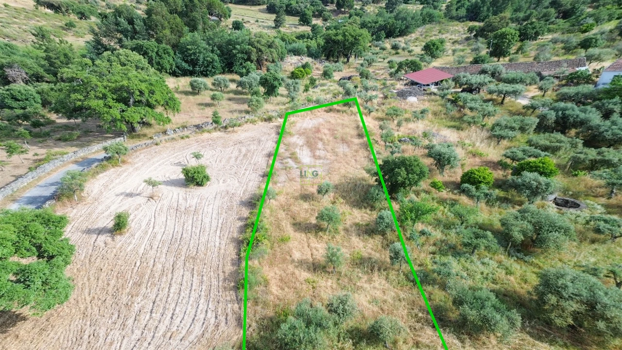Terreno Agricola ou Rústico para Venda em Monsanto e Idanha-A-Velha Foto 30