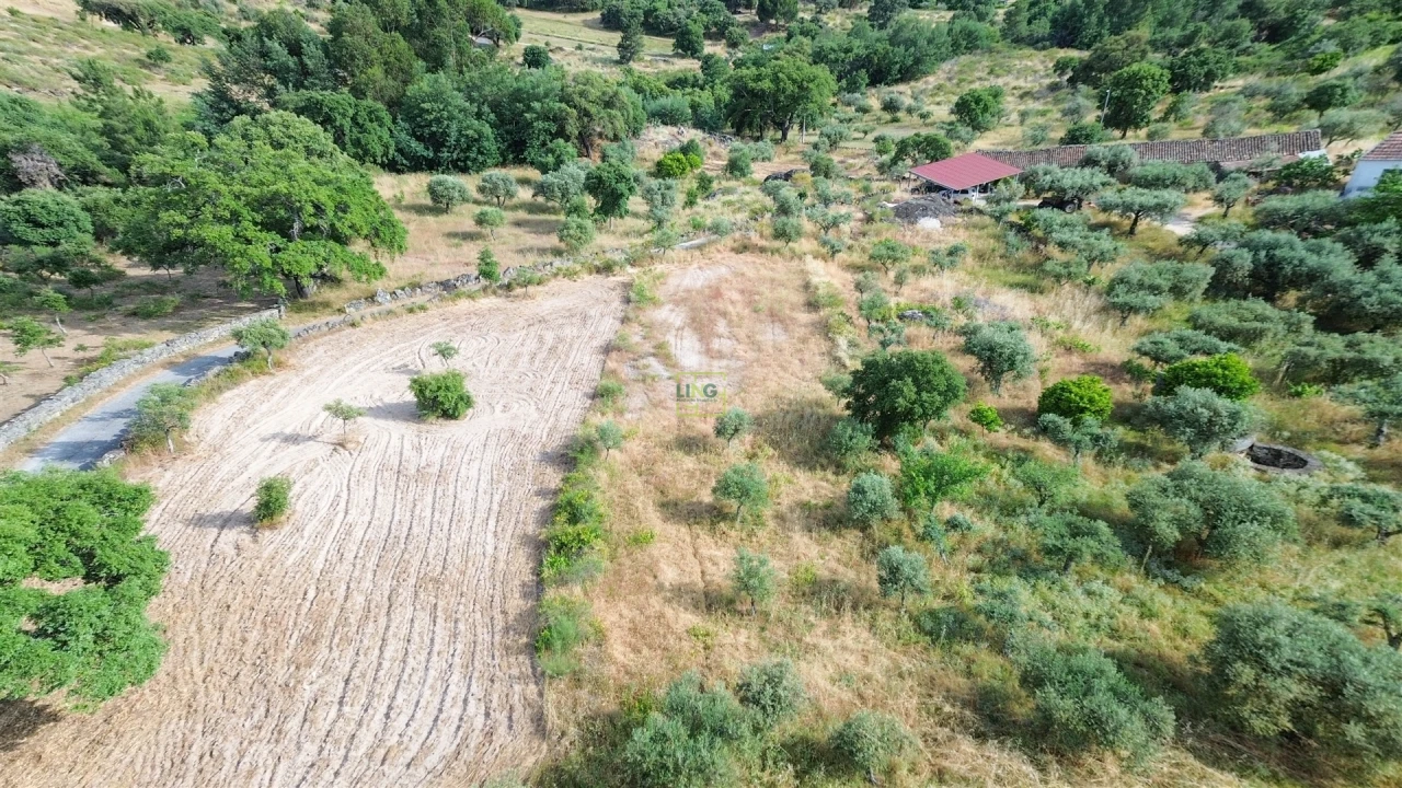 Terreno Agricola ou Rústico para Venda em Monsanto e Idanha-A-Velha Foto 29