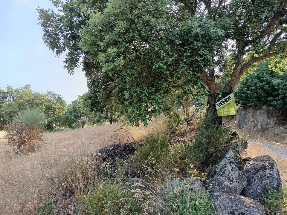 Terreno Agricola ou Rústico para Venda em Monsanto e Idanha-A-Velha Foto 20