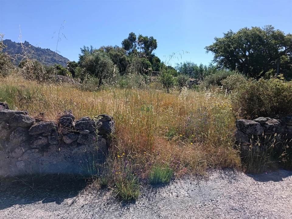 Terreno Agricola ou Rústico para Venda em Monsanto e Idanha-A-Velha Foto 15