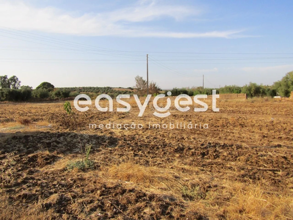 Terreno Agricola ou Rústico para Venda em Serpa (Salvador e Santa Maria) Foto 1