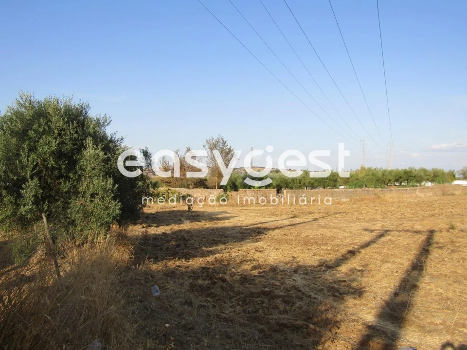 Terreno Agricola ou Rústico para Venda em Serpa (Salvador e Santa Maria) Foto 3