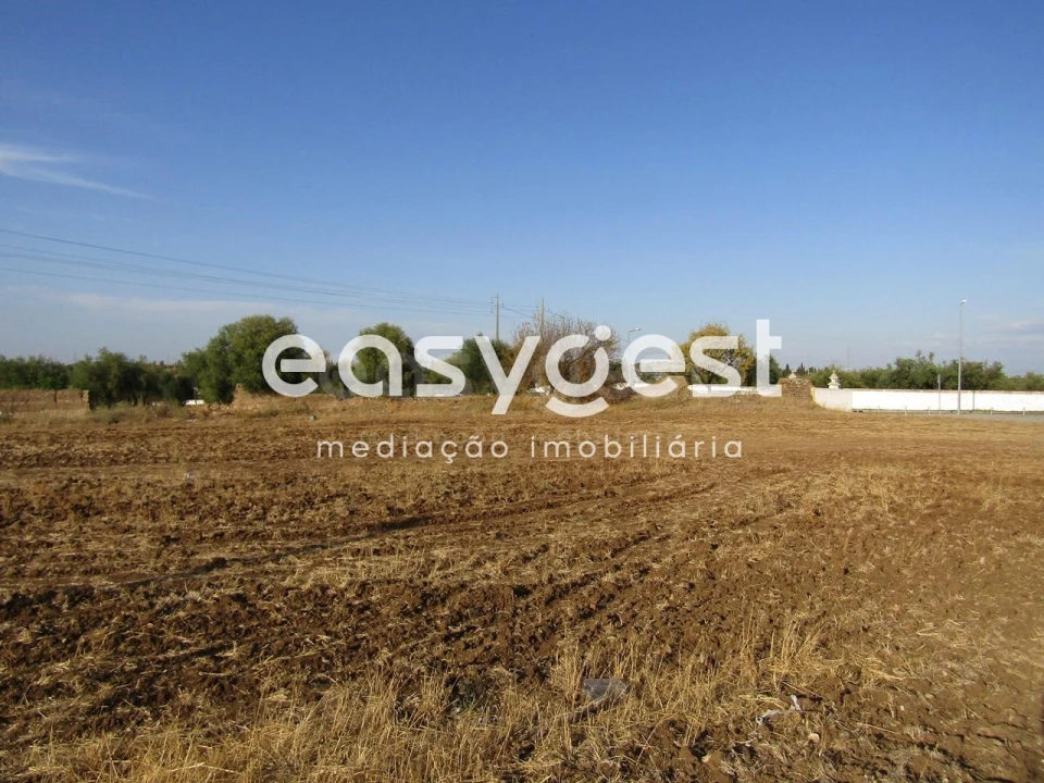 Terreno Agricola ou Rústico para Venda em Serpa (Salvador e Santa Maria) Foto 5