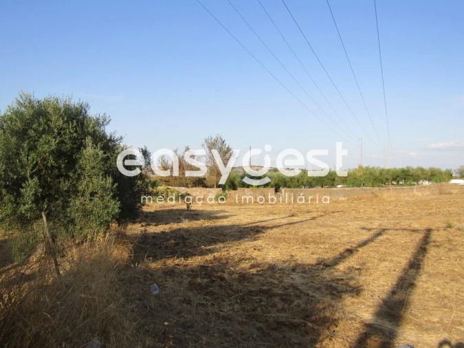 Terreno Agricola ou Rústico para Venda em Serpa (Salvador e Santa Maria) Foto 3