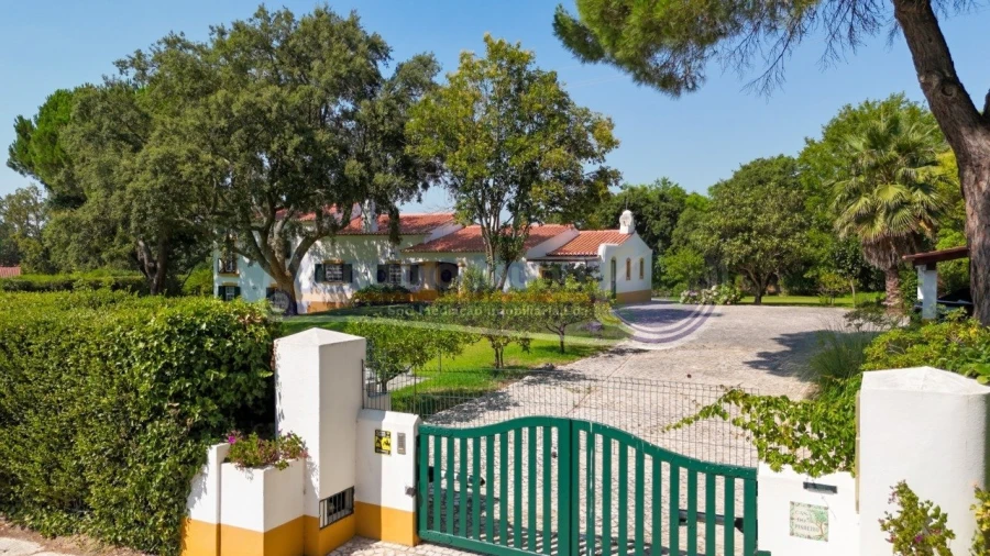 Moradia T4 para Venda em Santo Estêvão Foto 6