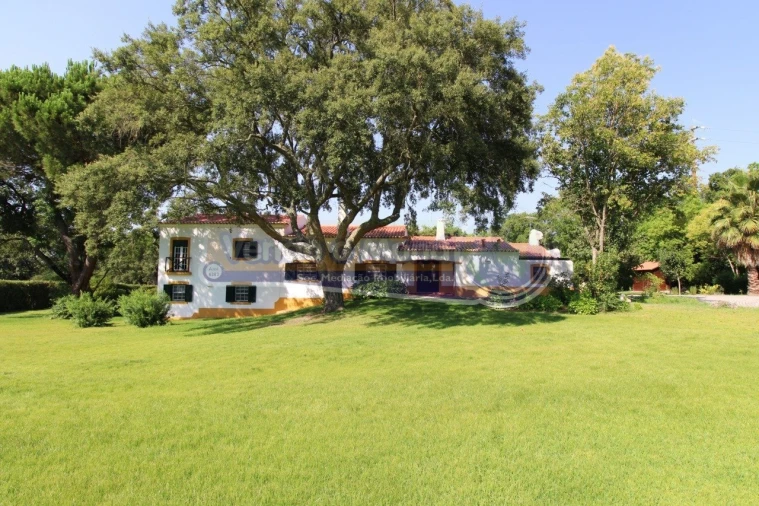 Moradia T4 para Venda em Santo Estêvão Foto 7