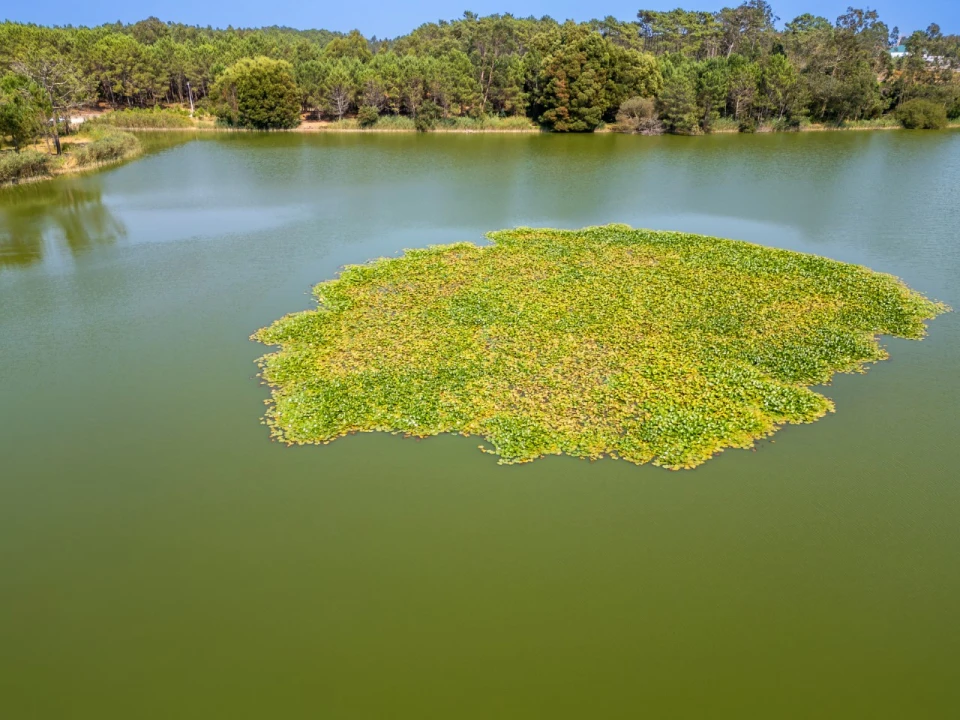 Moradia T4 para Venda em Pataias e Martingança Foto 40