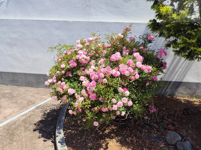 Moradia T2 para Venda em Lomba da Fazenda Foto 8