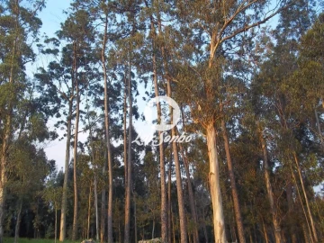 Terreno para Venda em Póvoa de Varzim, Beiriz e Argivai