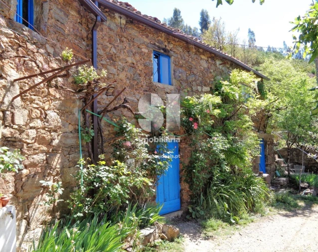 Quinta T10 para Venda em Figueiró dos Vinhos e Bairradas Foto 3
