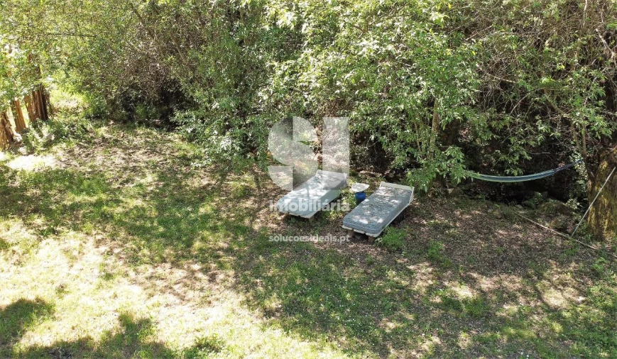 Quinta T10 para Venda em Figueiró dos Vinhos e Bairradas Foto 6