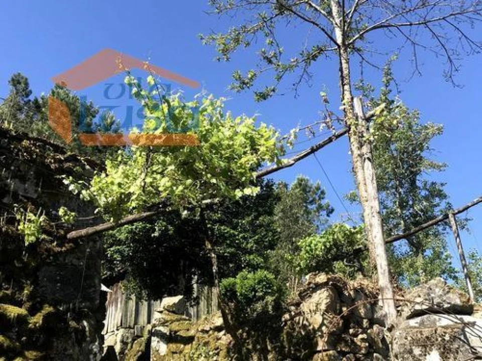 Quinta T0 para Venda em Santiago de Piães Foto 9