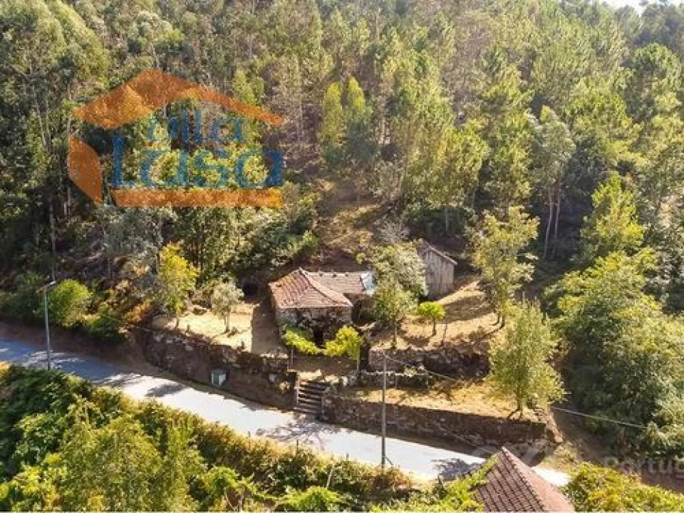 Quinta T0 para Venda em Santiago de Piães Foto 13