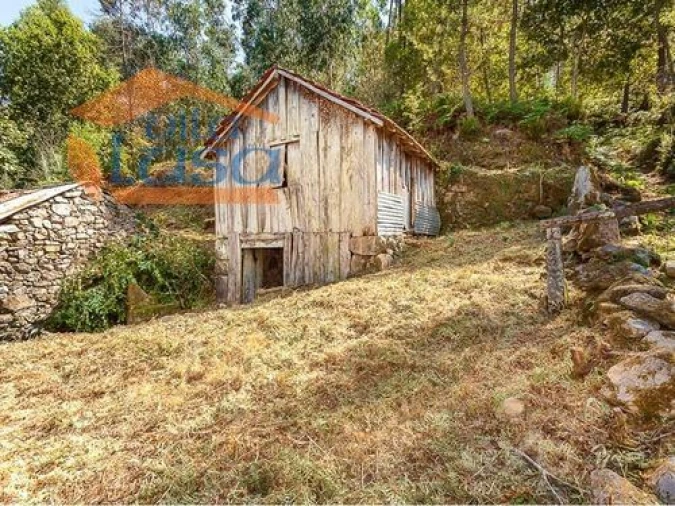 Quinta T0 para Venda em Santiago de Piães Foto 16