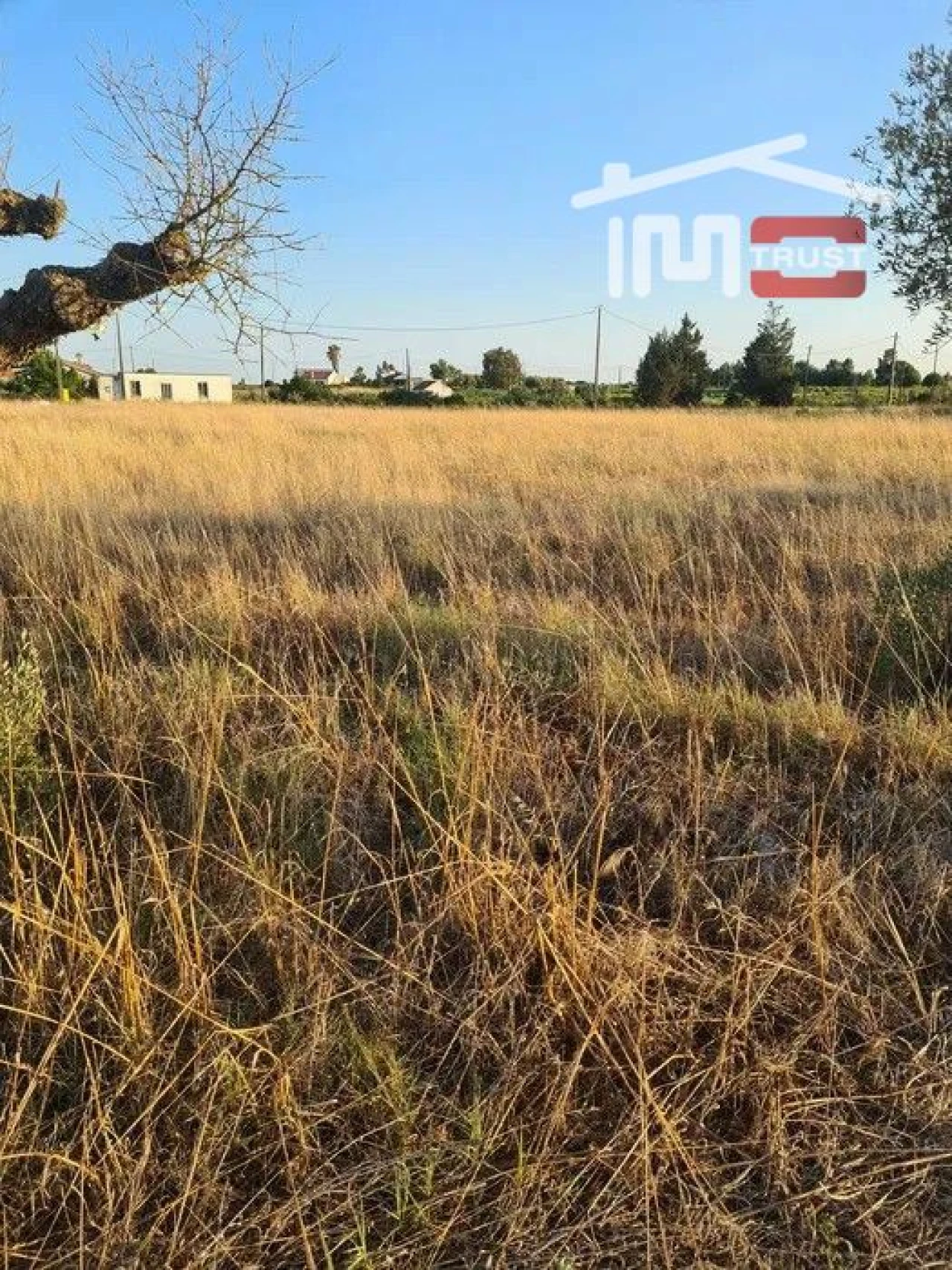 Terreno Agricola ou Rústico para Venda em Palmela Foto 6