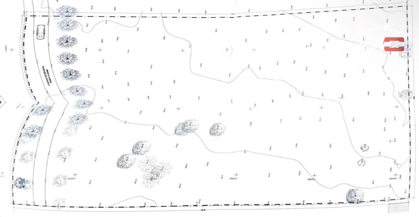Terreno Agricola ou Rústico para Venda em Palmela Foto 5
