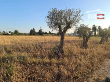 Terreno Agricola ou Rústico para Venda em Palmela