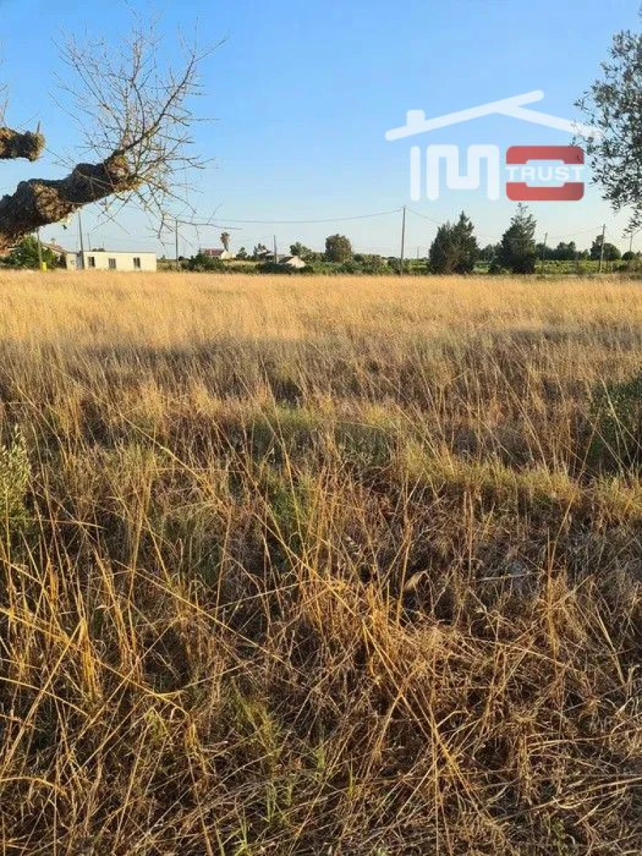 Terreno Agricola ou Rústico para Venda em Palmela Foto 11