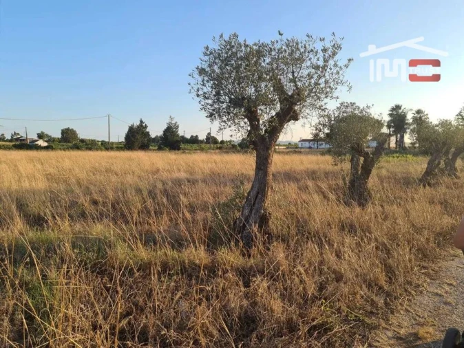 Terreno Agricola ou Rústico para Venda em Palmela Foto 2