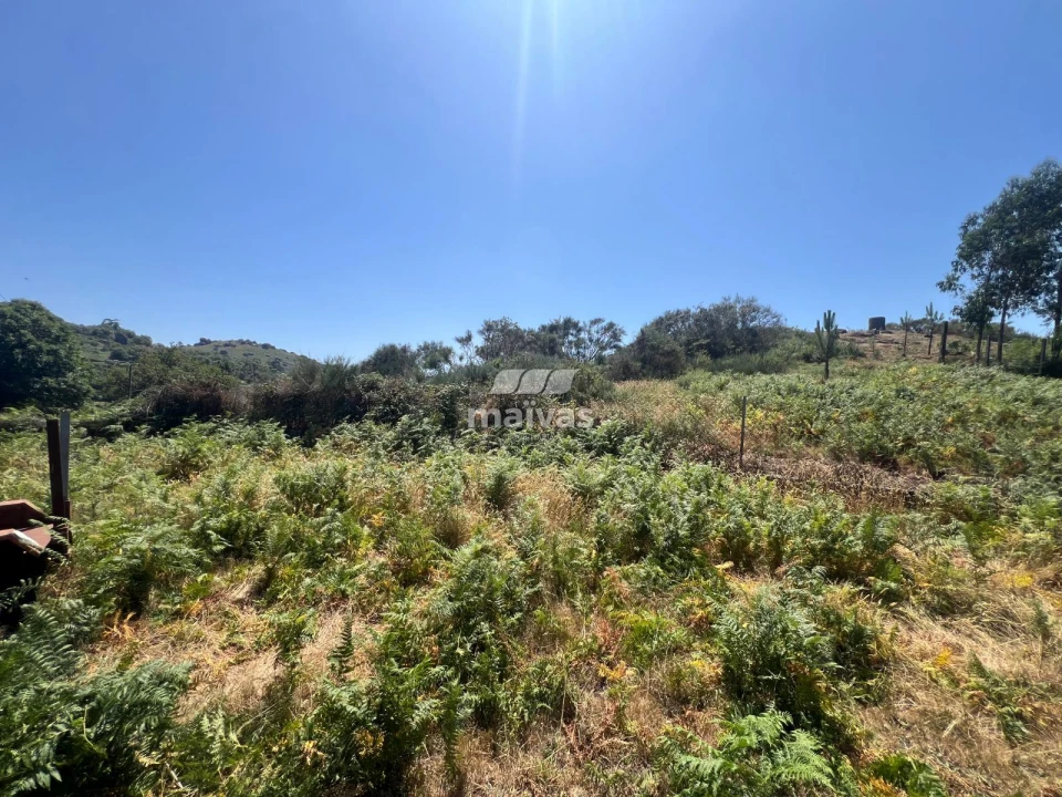 Moradia T2 para Venda em Cuide de Vila Verde Foto 5