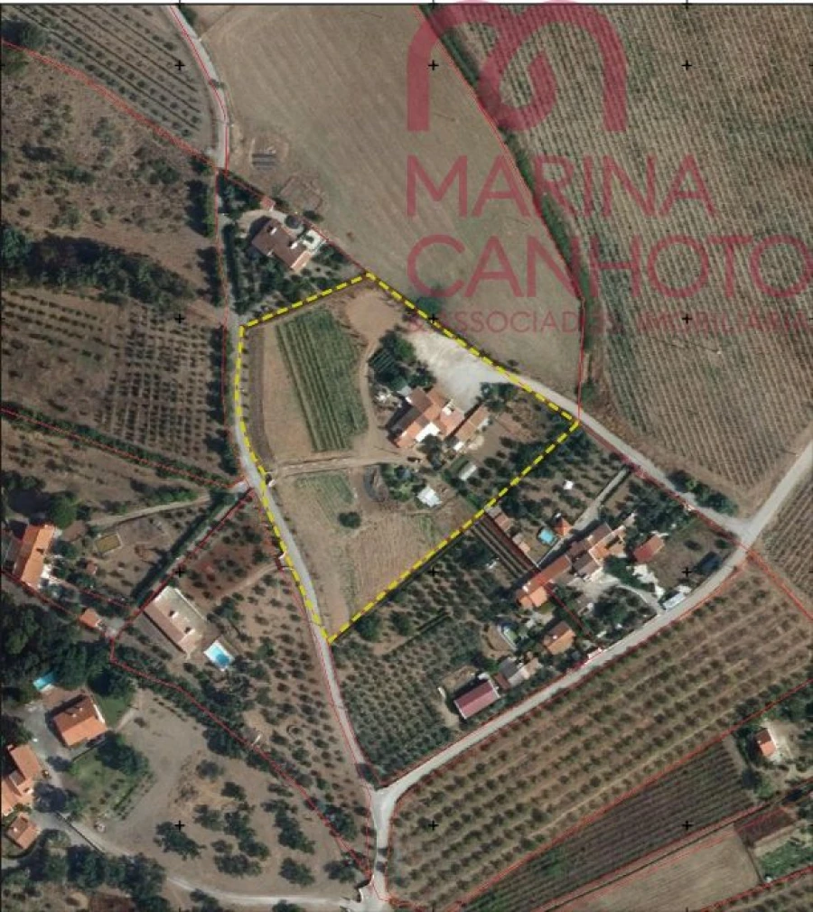 Quinta T3 para Venda em Orada Foto 48