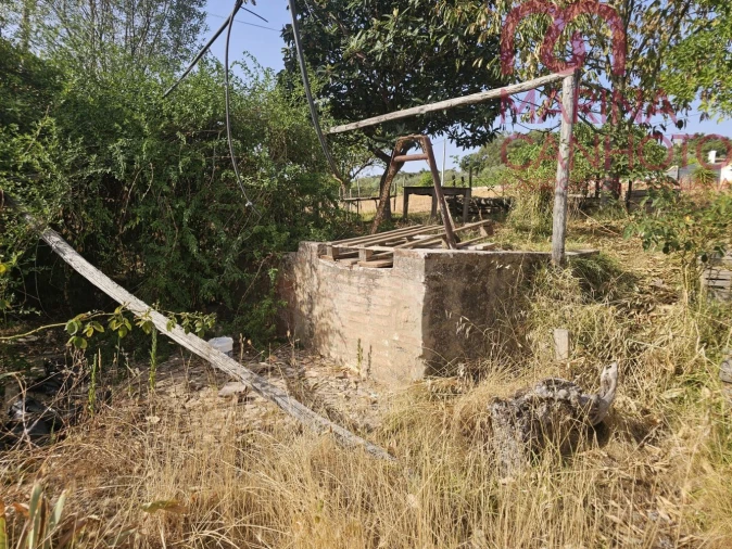 Quinta T3 para Venda em Orada Foto 43