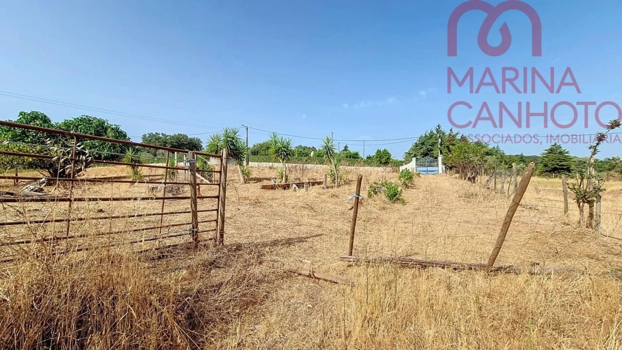 Quinta T3 para Venda em Orada Foto 40