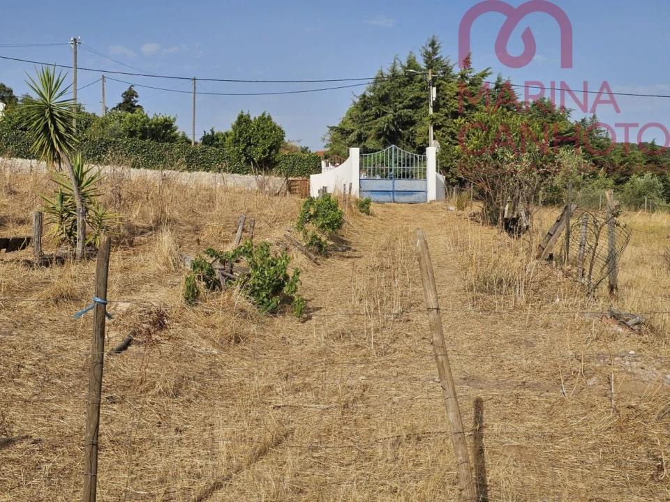 Quinta T3 para Venda em Orada Foto 44