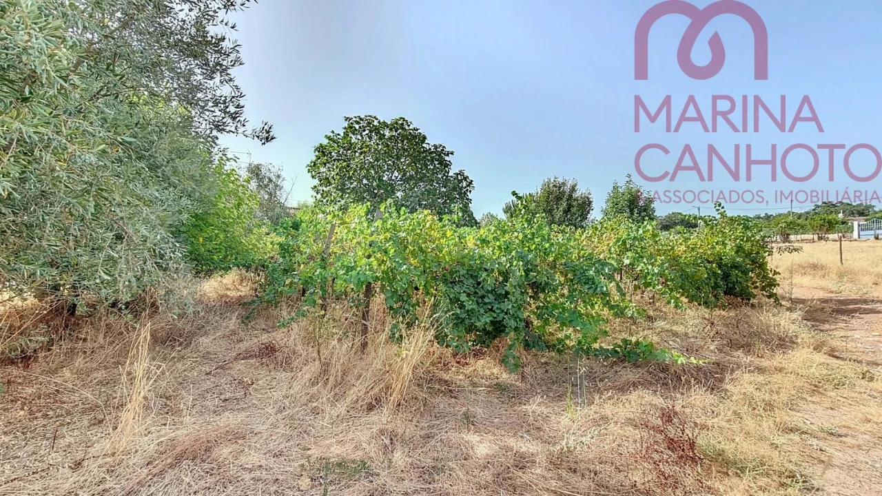 Quinta T3 para Venda em Orada Foto 42