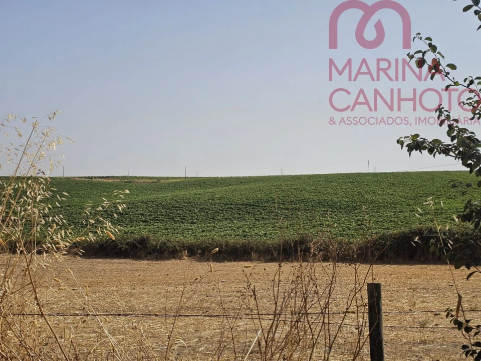 Quinta T3 para Venda em Orada Foto 45