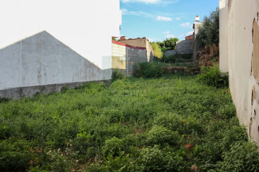 Terreno para Venda em Alcains Foto 7